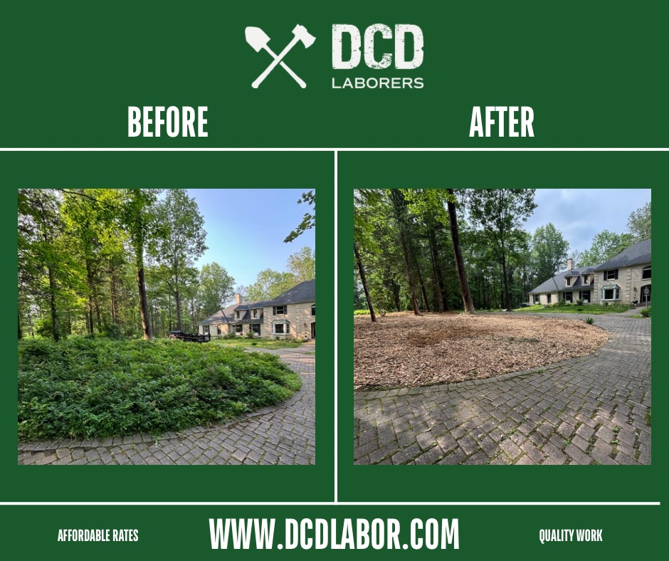 Before and after — Brush removal & mulching