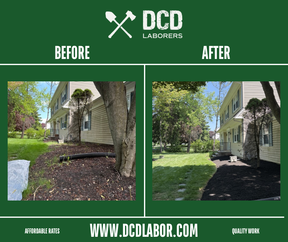 Before and after — Side yard cleanup & mulch