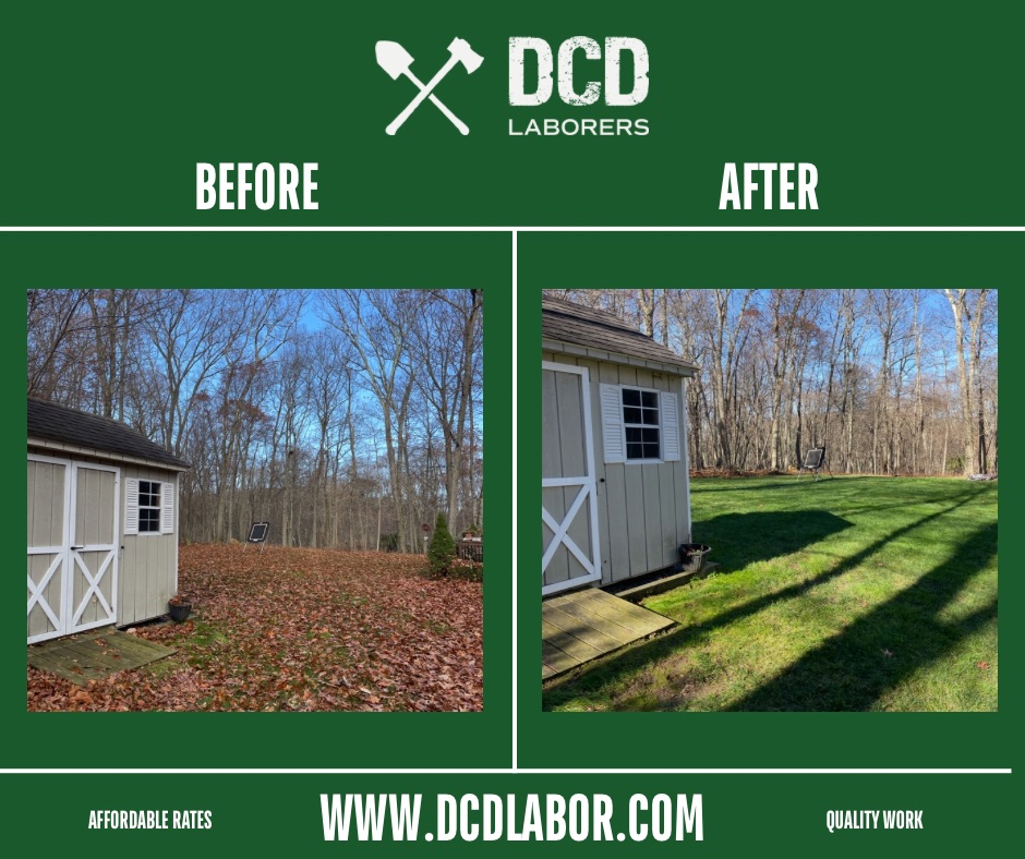 Before and after — Yard cleanup