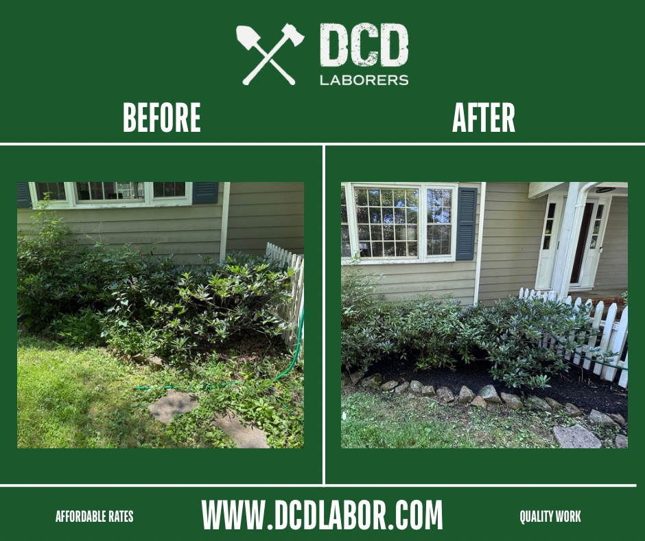 Before and after — Hedge trimming & mulch