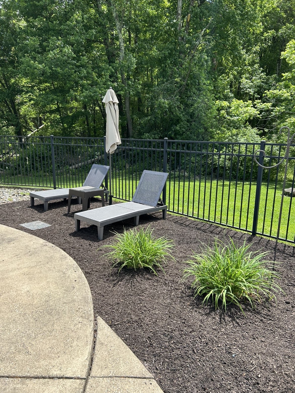 Poolside mulch bed with plantings